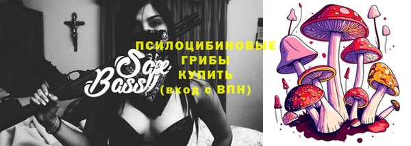 прущие крисы Беломорск