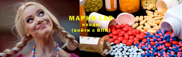 ПСИЛОЦИБИНОВЫЕ ГРИБЫ Белокуриха
