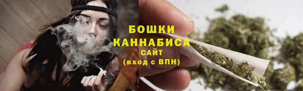 ПСИЛОЦИБИНОВЫЕ ГРИБЫ Белокуриха