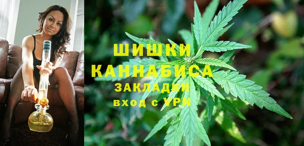 ПСИЛОЦИБИНОВЫЕ ГРИБЫ Белокуриха